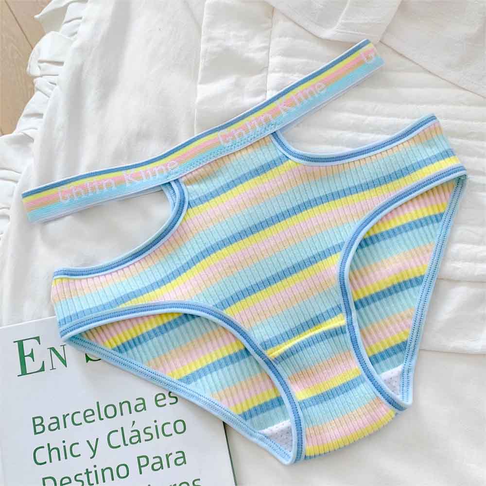 Rainbow Stripe Panties for Trans Women